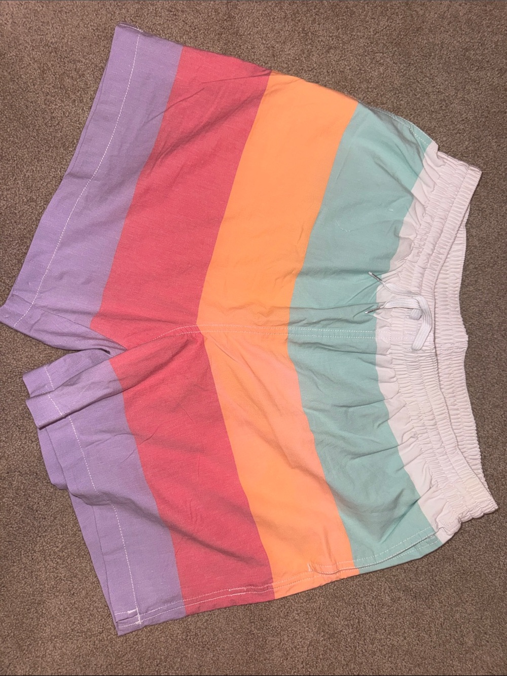 Chubbies Sherbet swim trunks XL